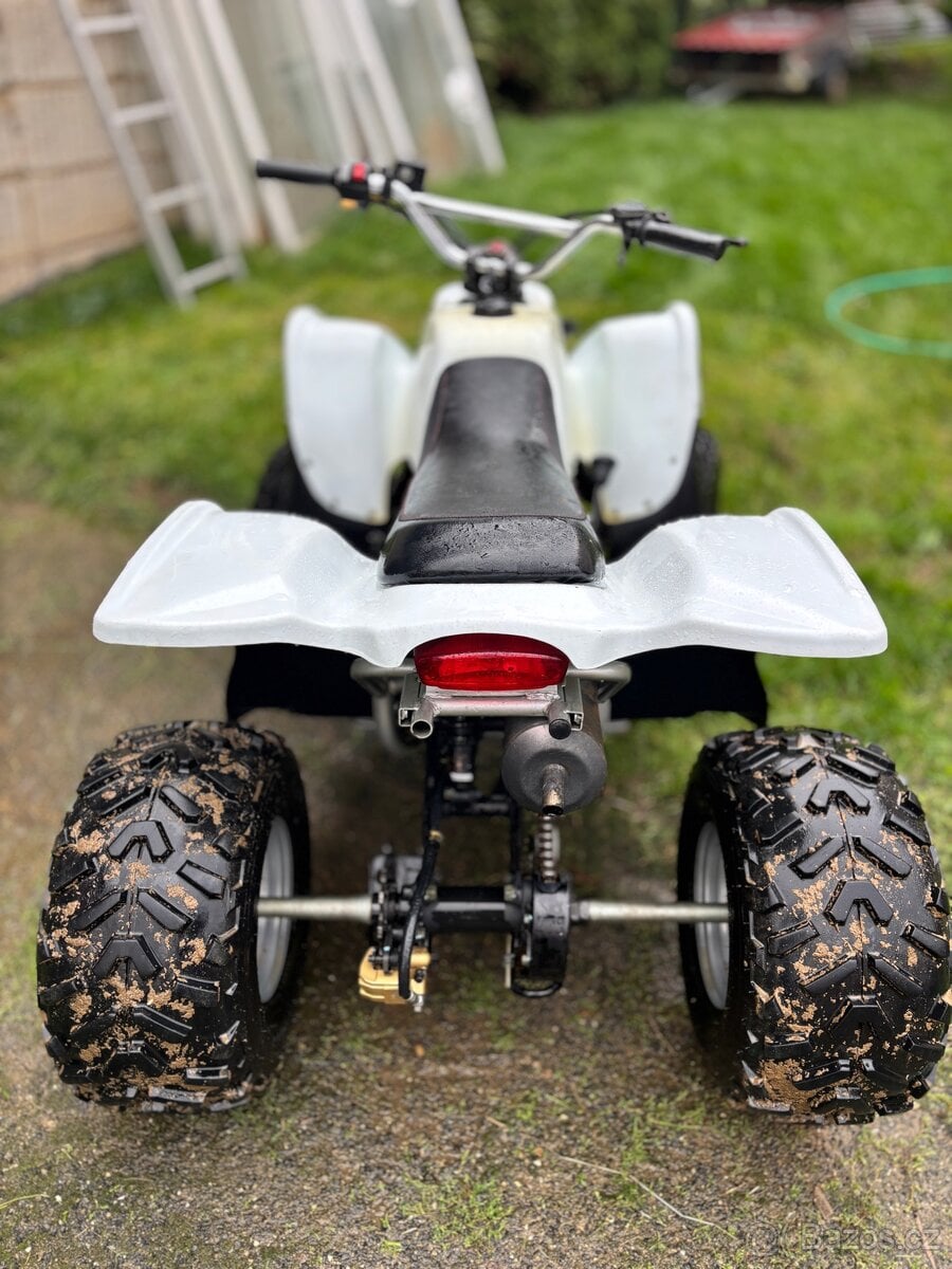 Access ddr 100 reverze