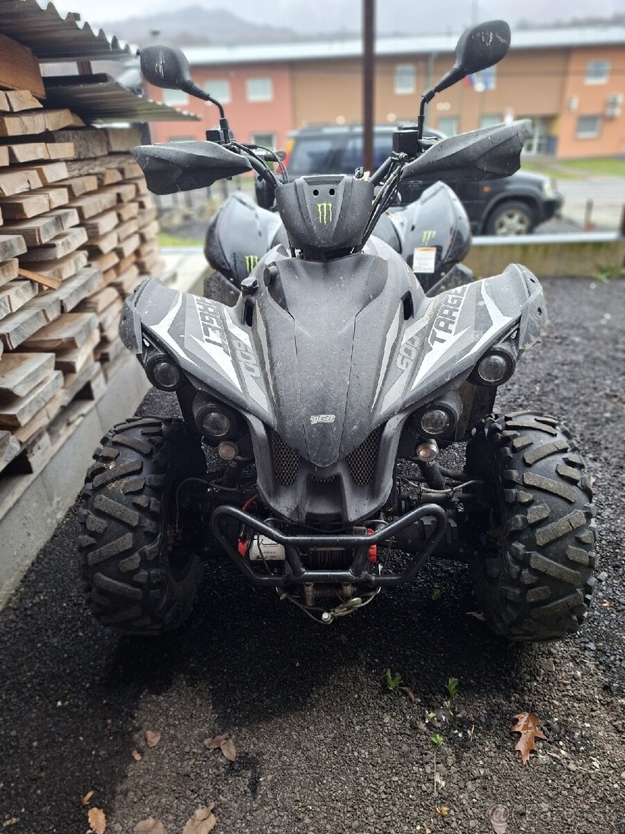 Ṣ̌tvorkolku - Taiwan Golden Bee - 4x4