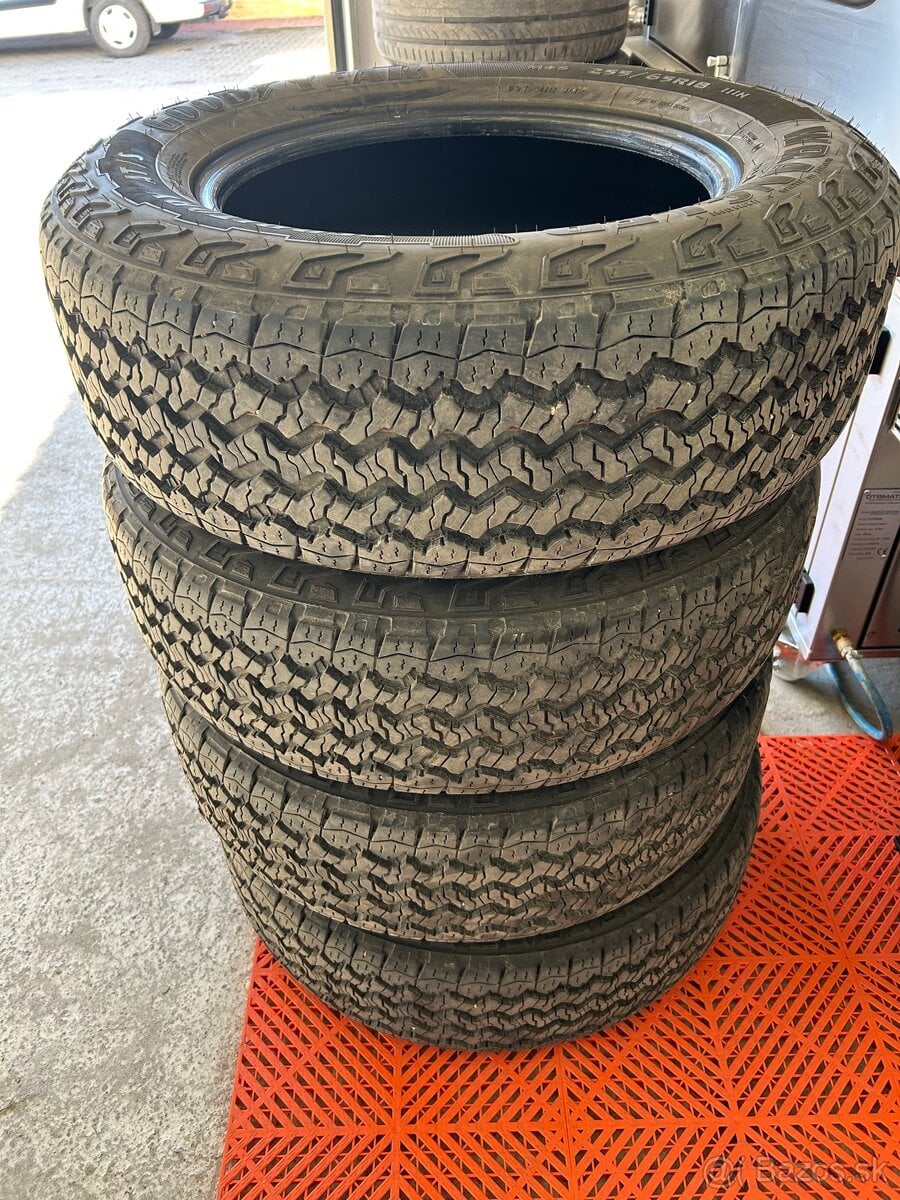 255/65 r18 celoročne