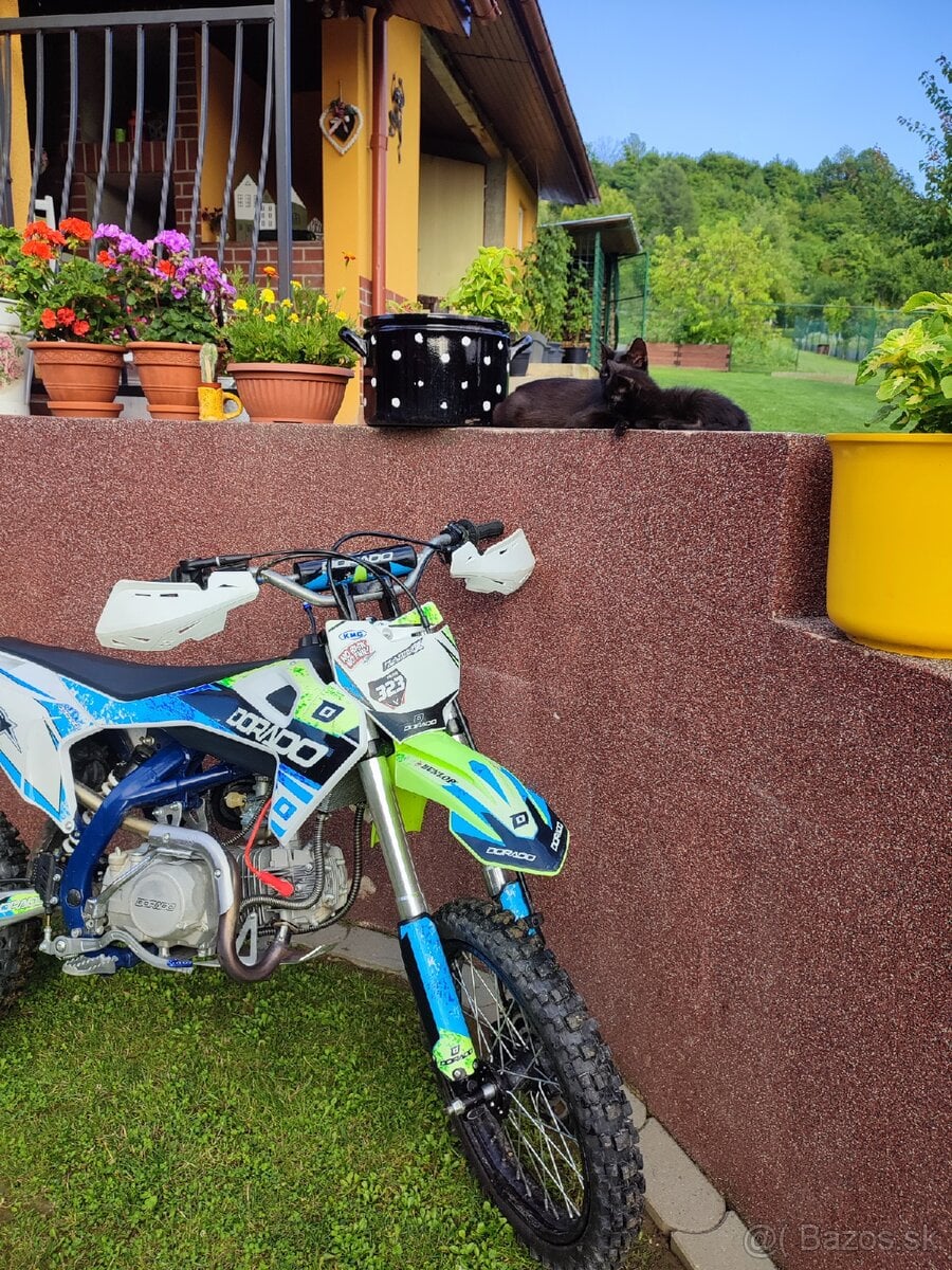 Pitbike Dorado DT 140