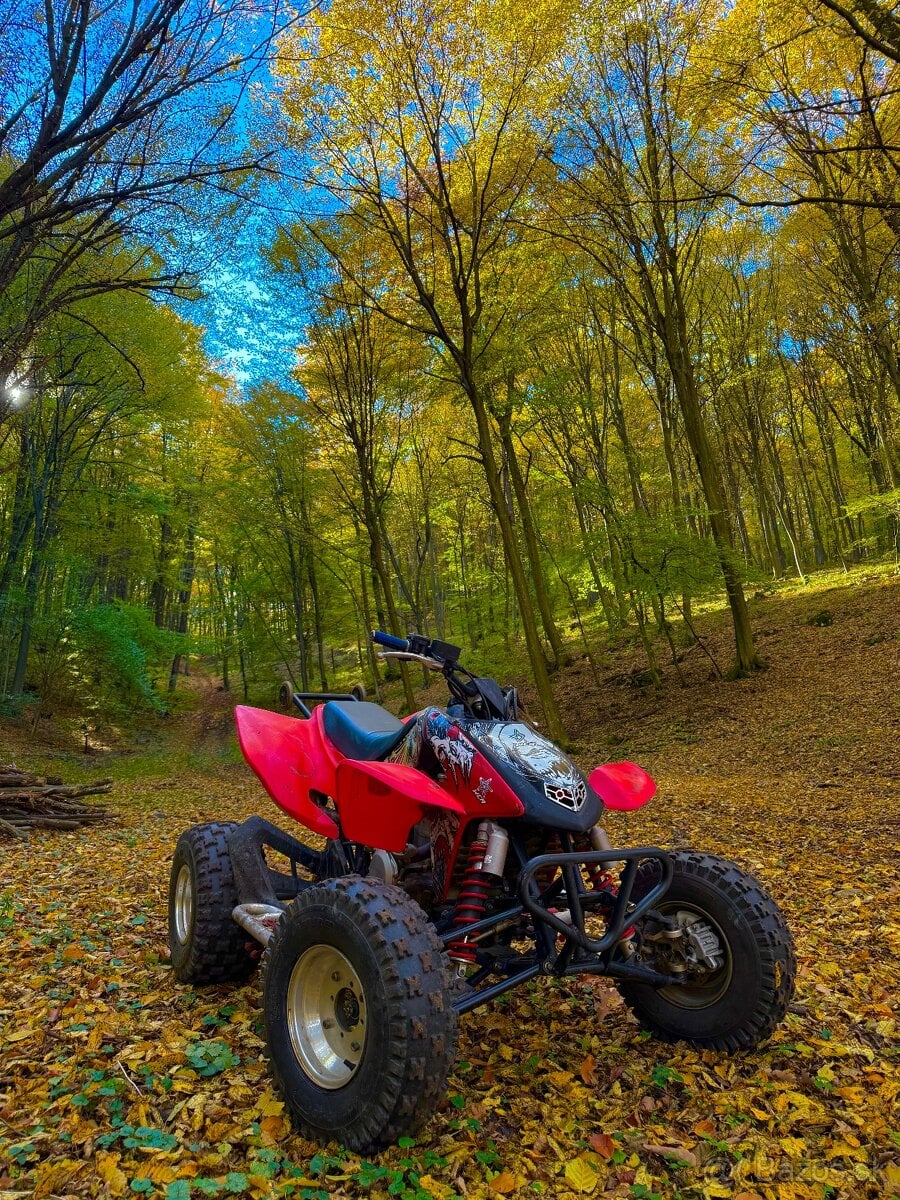 Honda TRX 450r (2006)