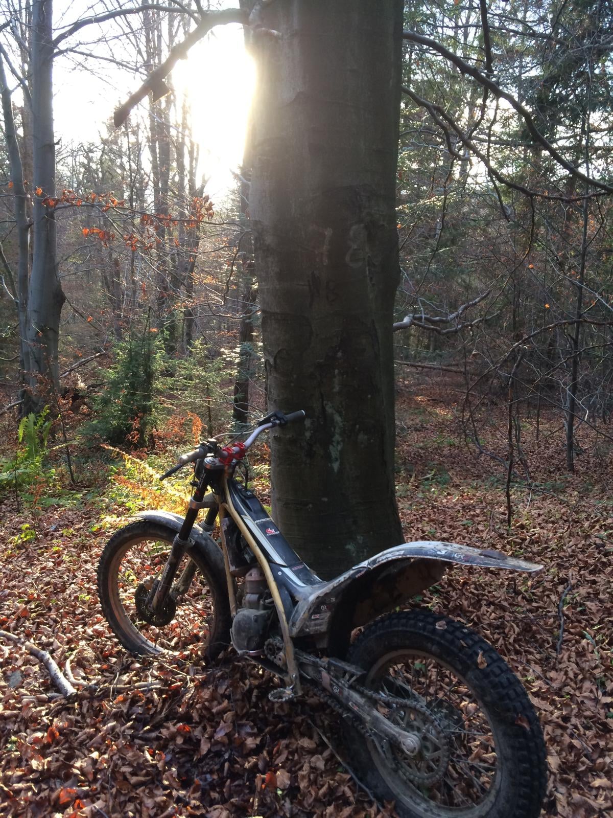 Trial Gas Gas RAGA 300cm / 2010 year