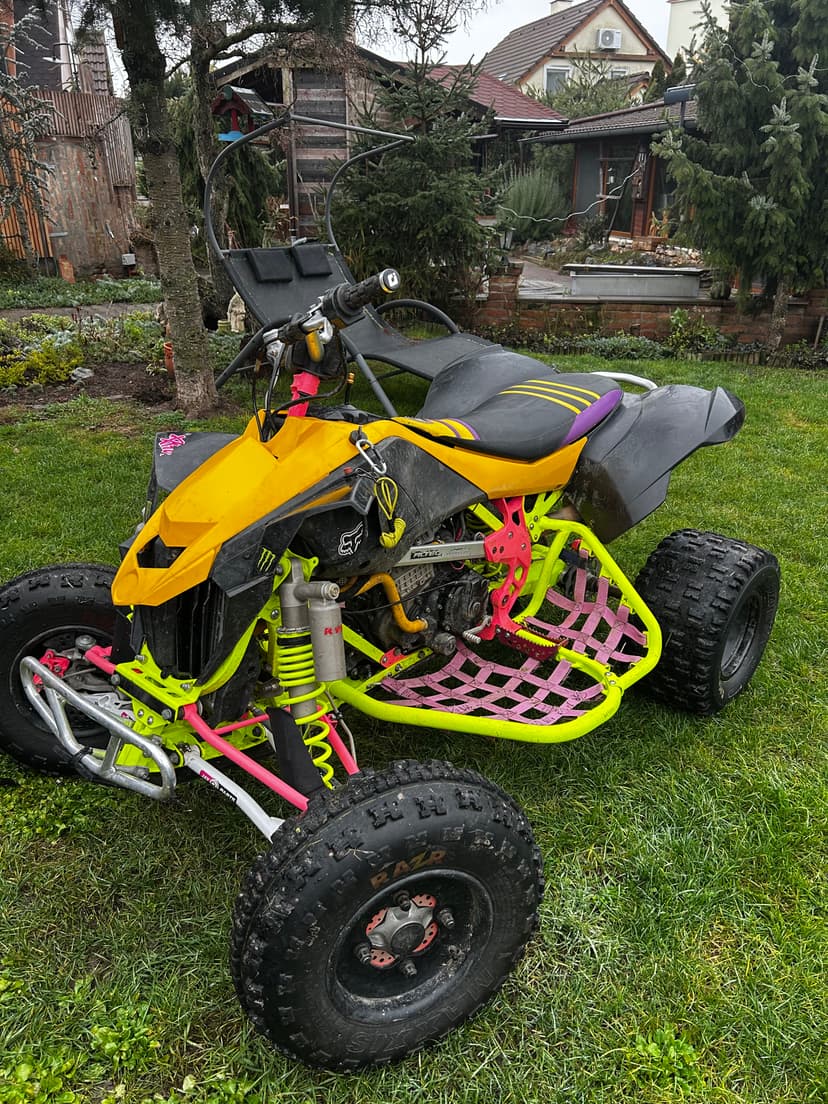 Can am Ds 450