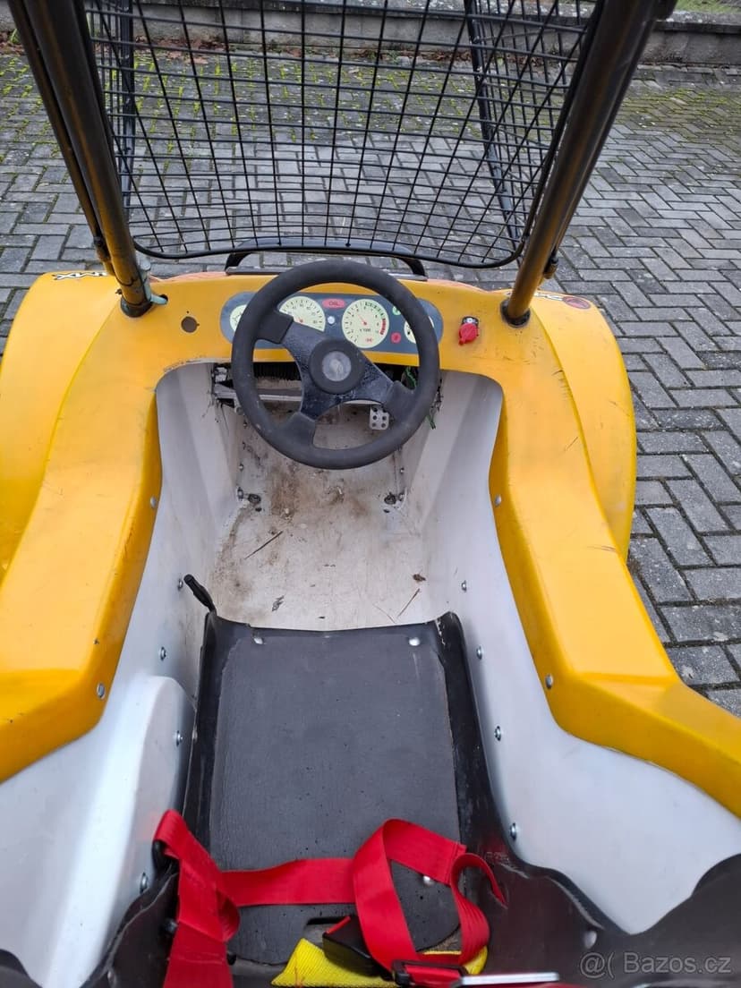 Buggy racer