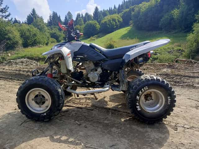 POLARIS PREDATOR 500