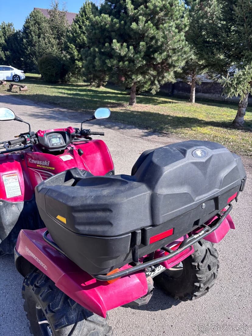 Kawasaki Brute Force 650